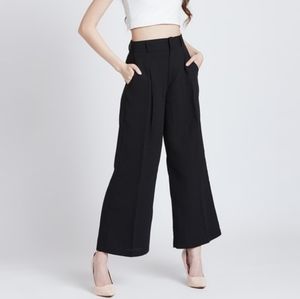 ARITZIA Wilfred Cotton Trousers